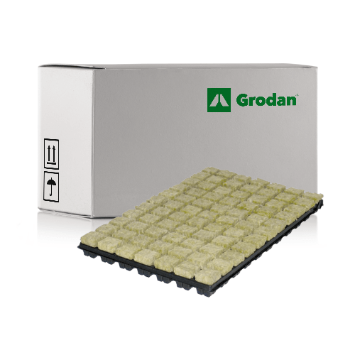 Grodan Rockwool SBS Trays