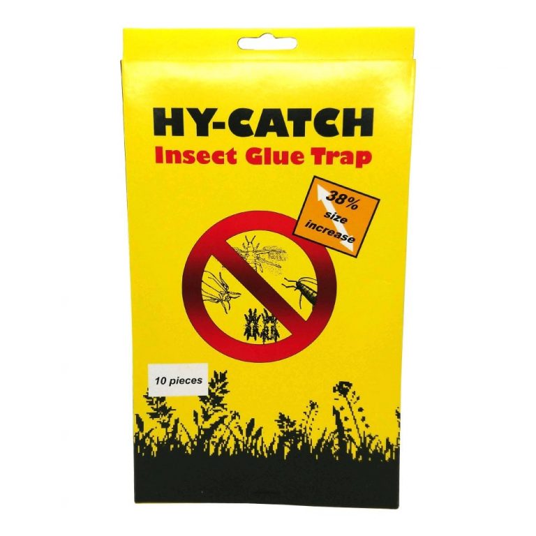Hy-Catch - Insect Glue Trap