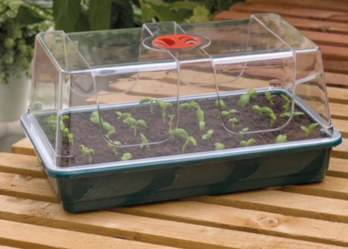 Garland High Dome Propagators