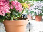 Irrigation Systems