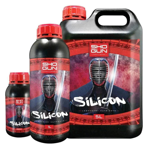 Silicon Supplements