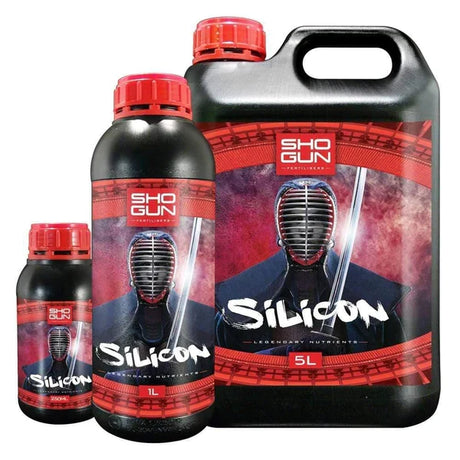 Silicon Supplements