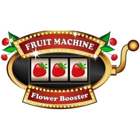 Fruit Machine