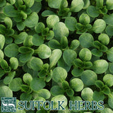 Corn Salad Vit Organic Seeds