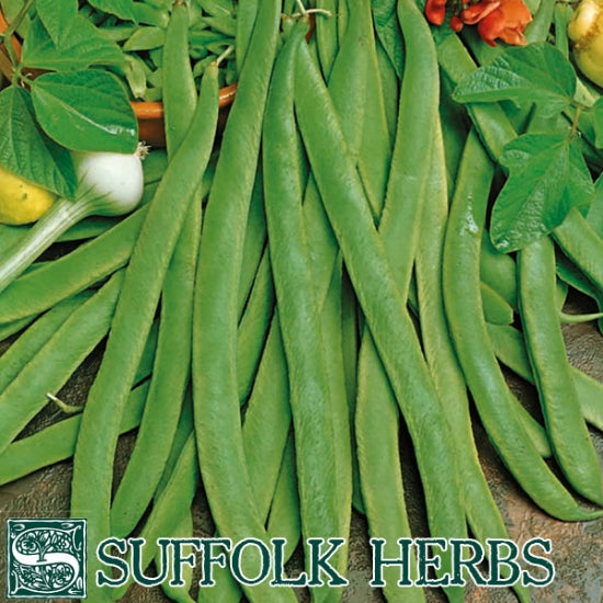 Runner Bean Organic Seeds Lady DI Organic Seeds