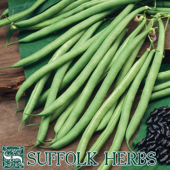 Climbing French Bean Cobra Organic Seeds