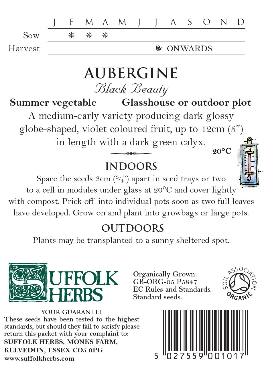 Aubergine (Black Beauty) Organic Seeds