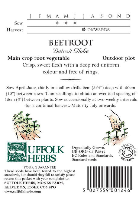 Beetroot (Beta Vulgaris) Detroit Organic Seeds