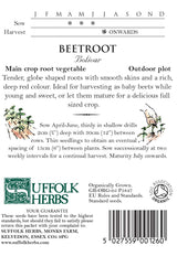 Beetroot (Beta Vulgaris) Bolivar Organic Seeds