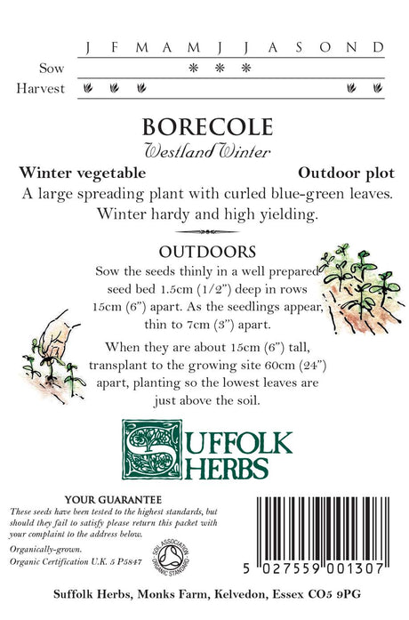 Borecole (Kale) - Westland Winter - Organic Seeds