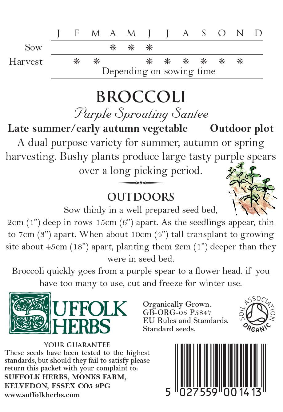 Broccoli - Purple Sprouting Santee Organic Seeds