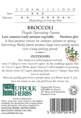 Broccoli - Purple Sprouting Santee Organic Seeds