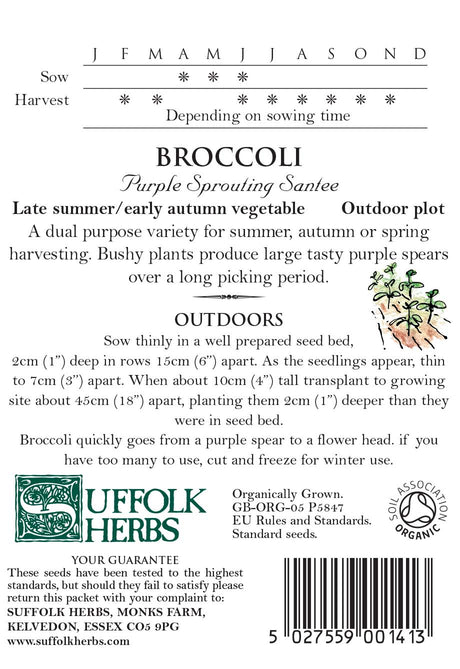 Broccoli - Purple Sprouting Santee Organic Seeds