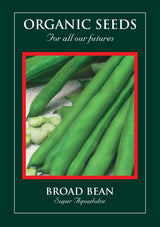 Broad Bean Organic Seeds-  Super Aquadulce