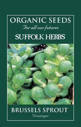 Brussels Sprout - Groninger Organic Seeds