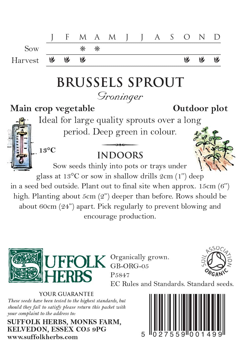 Brussels Sprout - Groninger Organic Seeds