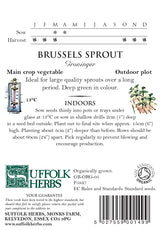 Brussels Sprout - Groninger Organic Seeds