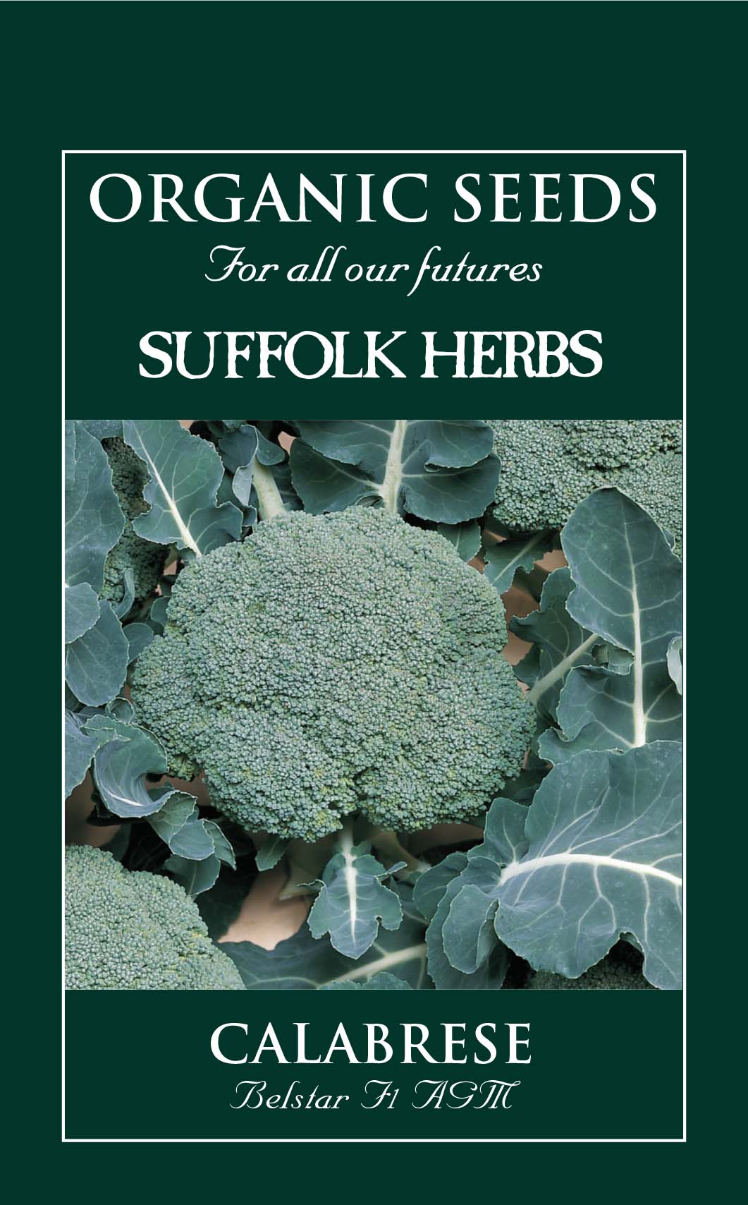 Calabrese Organic Vegetable Seeds - Belstar