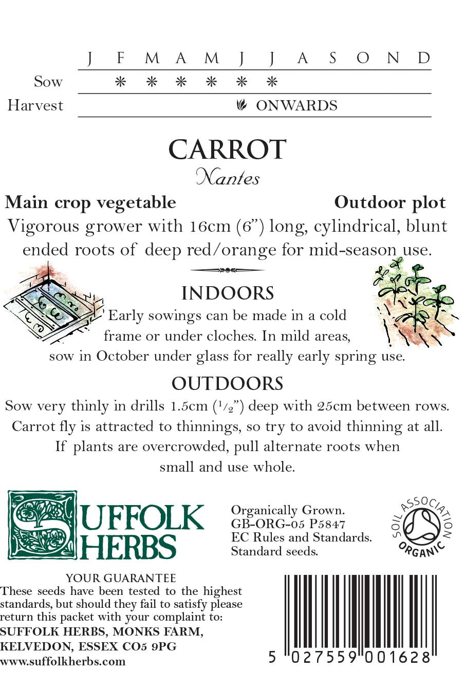 Carrot - Early Nanttes - Organic Seeds