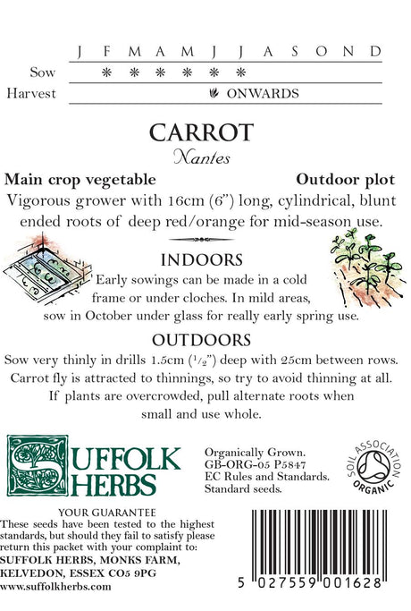 Carrot - Early Nanttes - Organic Seeds