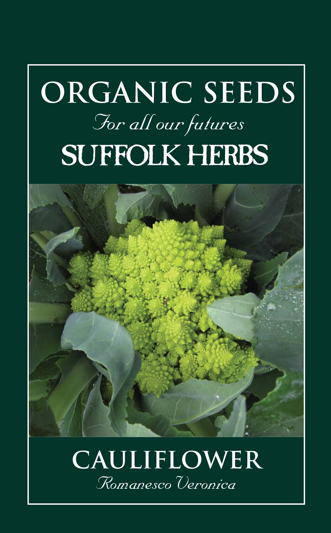 Cauliflower Organic Seeds - Romanesco Veronica