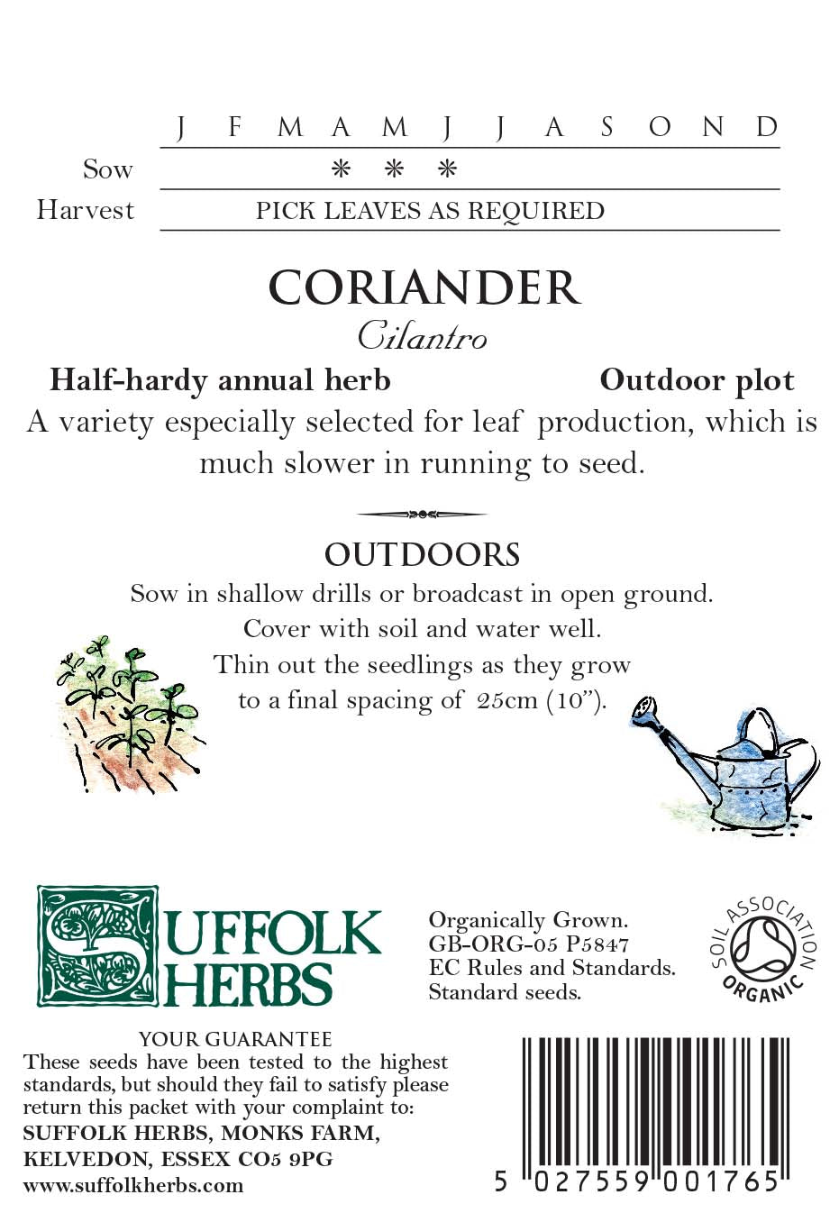 Coriander Cilantro Organic Seeds - Coriandrum Sativum