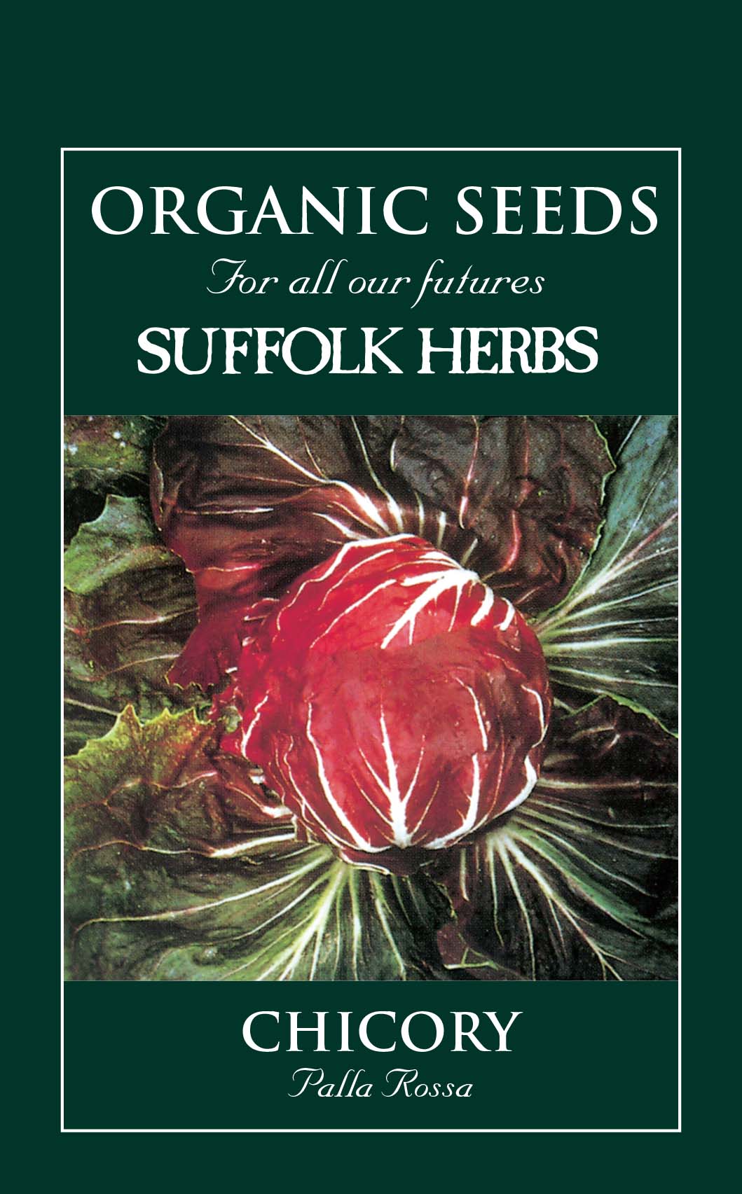 Chicory Organic Seeds - Palla Rossa