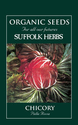 Chicory Organic Seeds - Palla Rossa