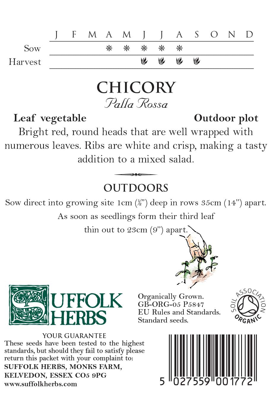 Chicory Organic Seeds - Palla Rossa