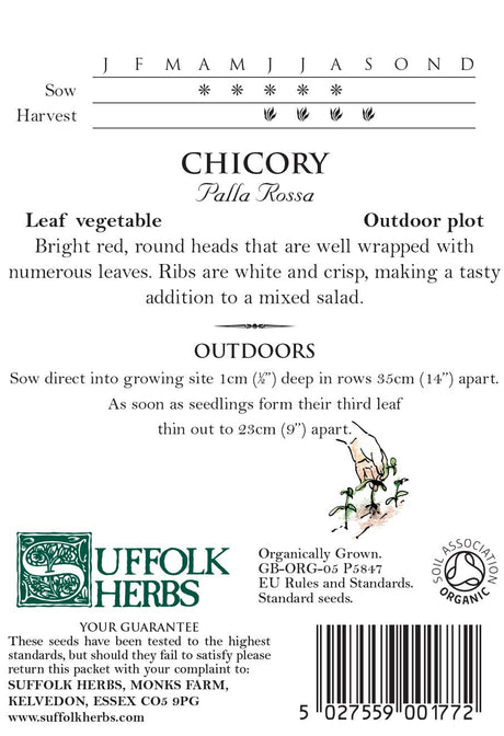 Chicory Organic Seeds - Palla Rossa