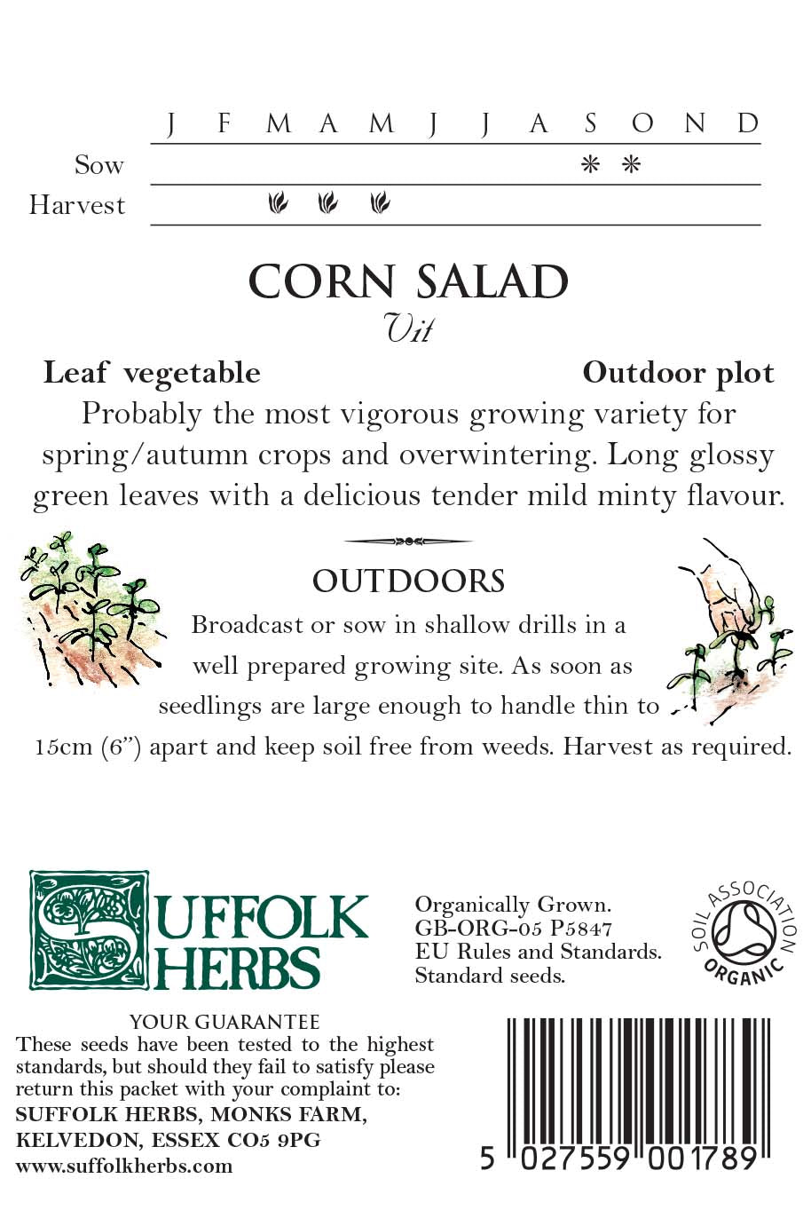 Corn - Salad Vit - Organic Seeds