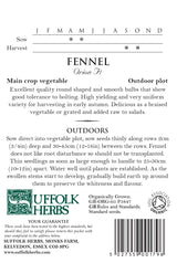 Fennel Organic Seeds - Orion