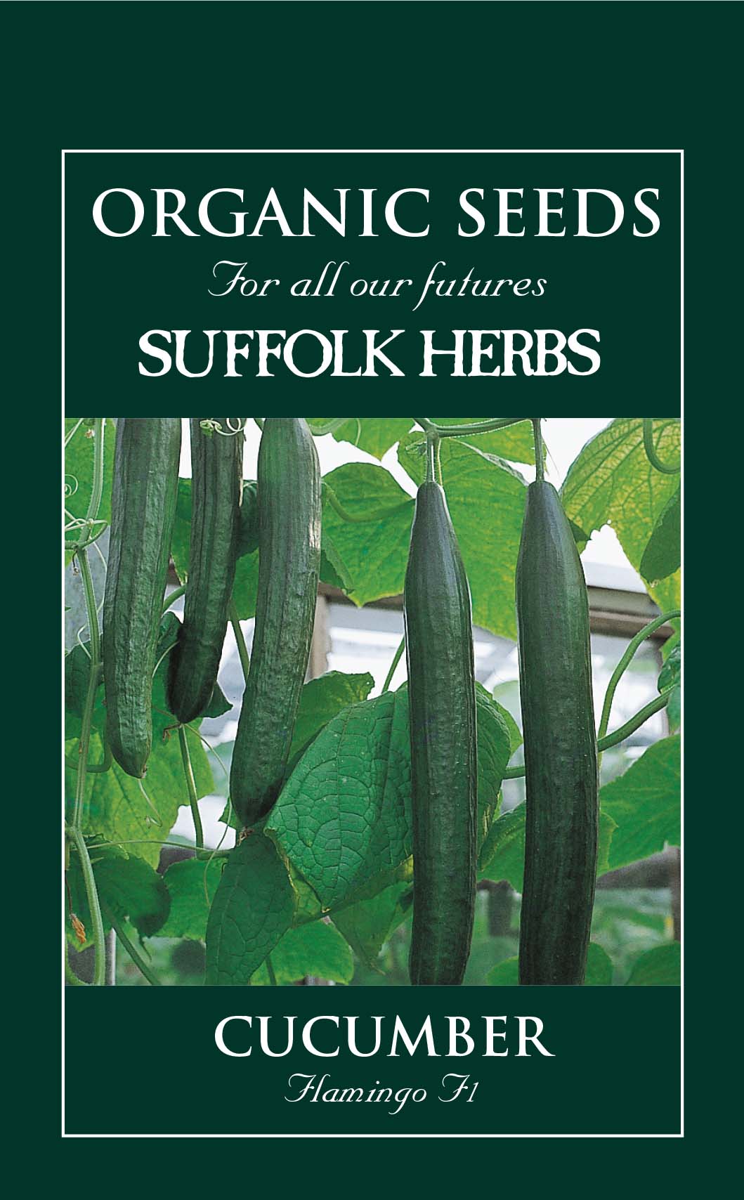 Cucumber Organic Seeds - Flamingo F1