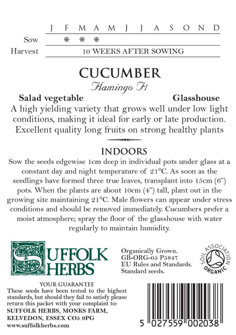 Cucumber Organic Seeds - Flamingo F1