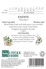 Endive Organic Seeds- Pancalieri