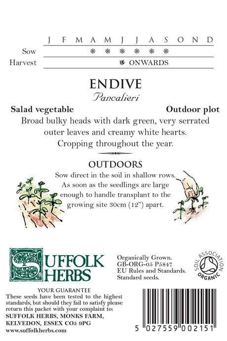 Endive Organic Seeds- Pancalieri