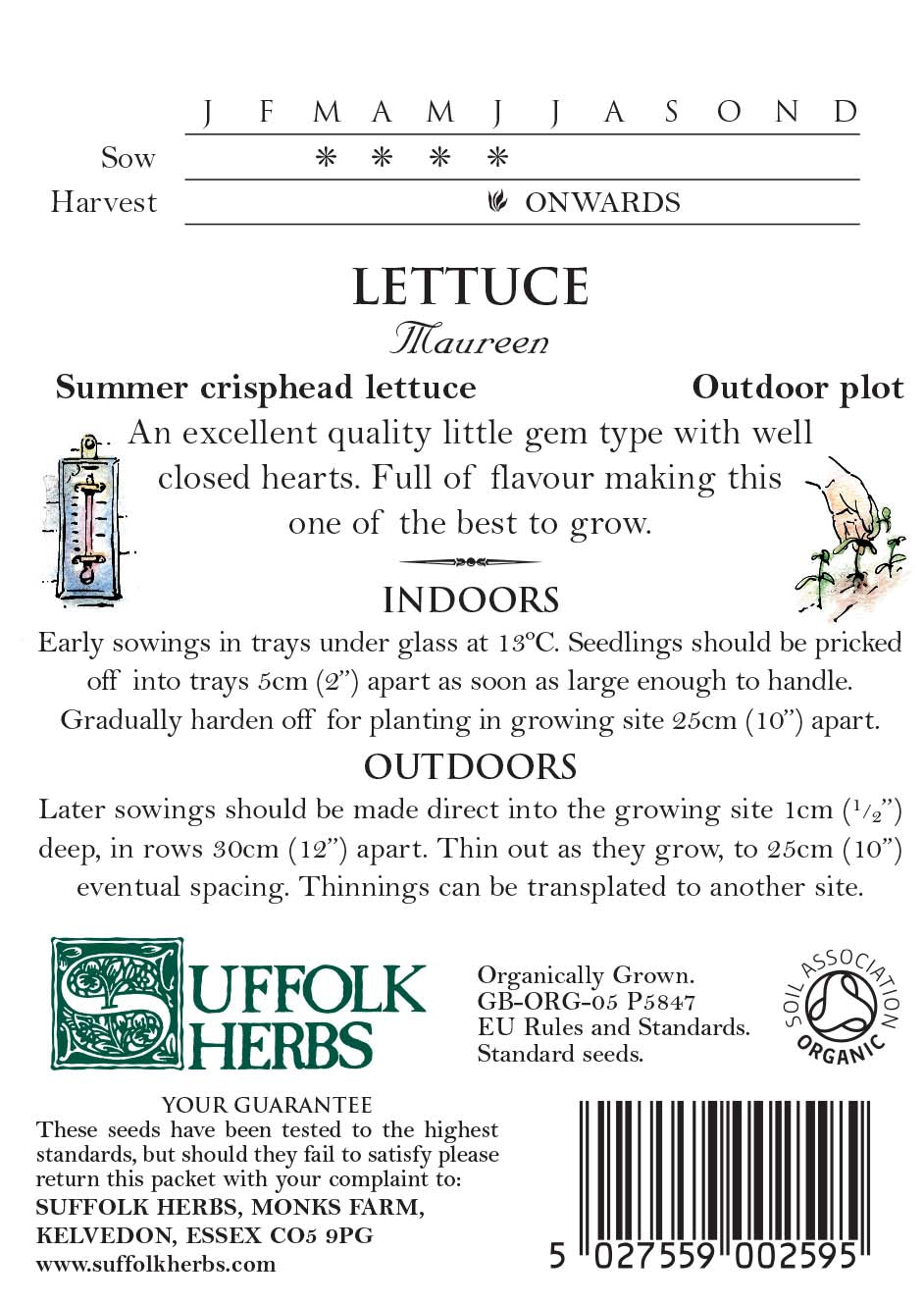 Lettuce Organic Seeds - Maureen (Little Gem Type)