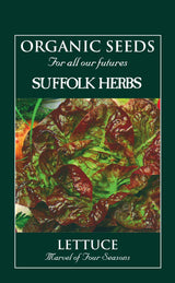 Lettuce Organic Seeds - Marvel of Four Season