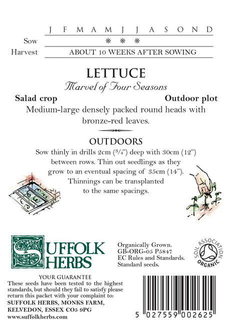 Lettuce Organic Seeds - Marvel of Four Season