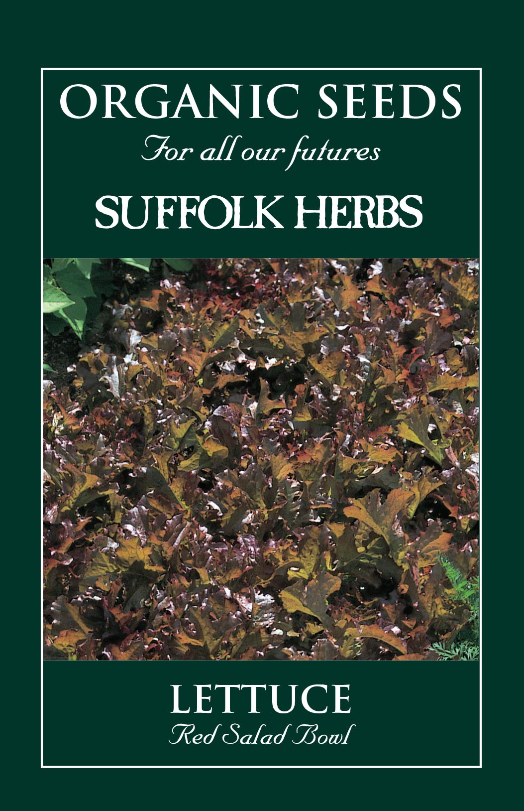 Lettuce Organic Seeds - Red Salad Bowl