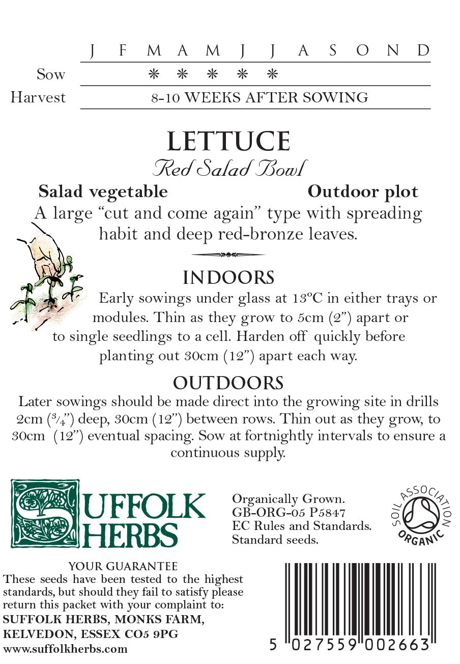 Lettuce Organic Seeds - Red Salad Bowl
