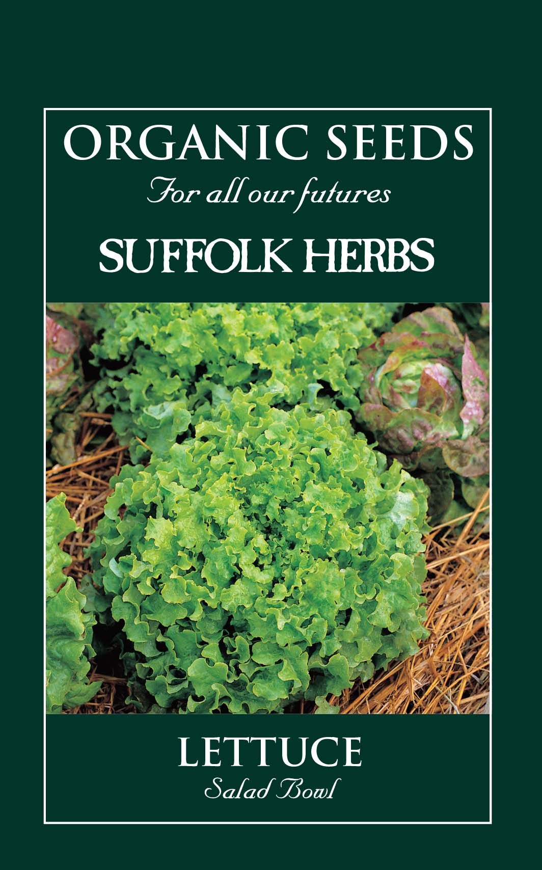 Lettuce Organic Seeds - Salad Bowl