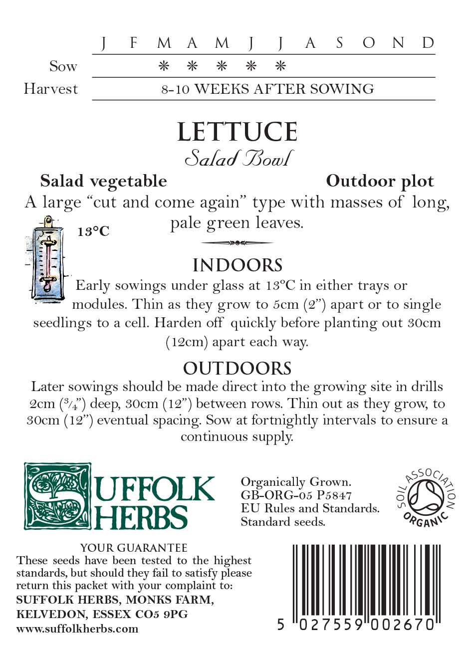Lettuce Organic Seeds - Salad Bowl
