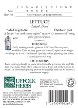 Lettuce Organic Seeds - Salad Bowl