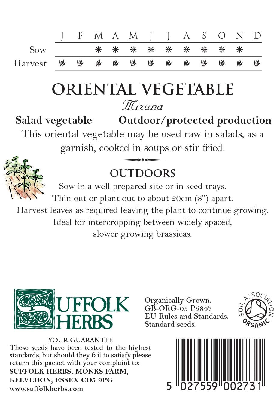 Oriental Mizuna Organic Seeds