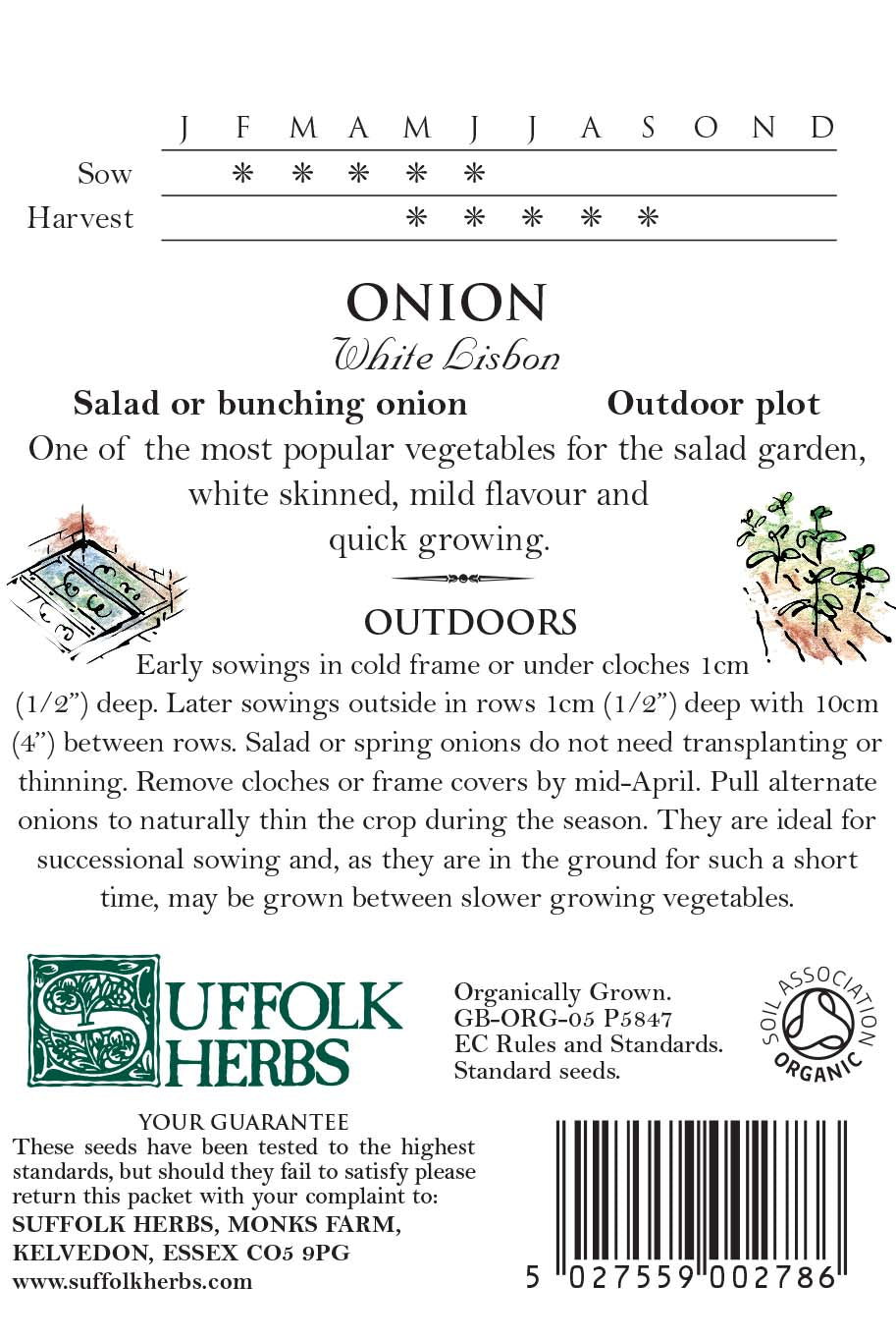 Onion Organic Seeds - White Lisbon
