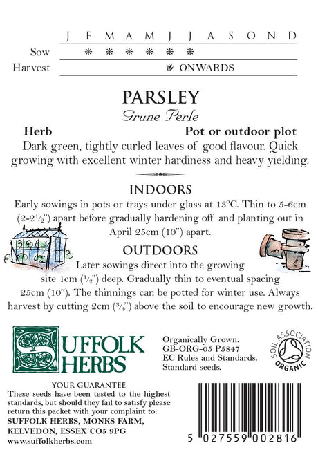 Parsley Organic Seeds - Grune Perle