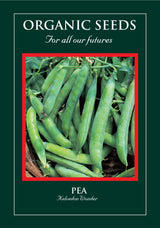 Pea Organic Seeds - Kelvedon Wonder