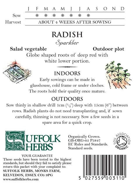 Radish Organic Seeds - Sparkler