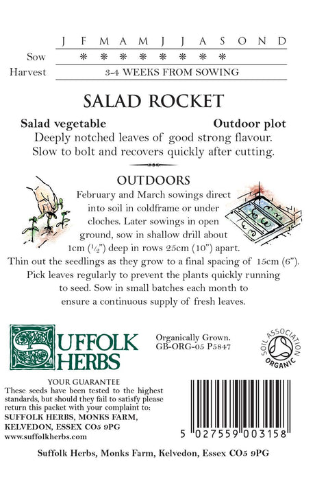 Rocket Organic Seeds - Salad